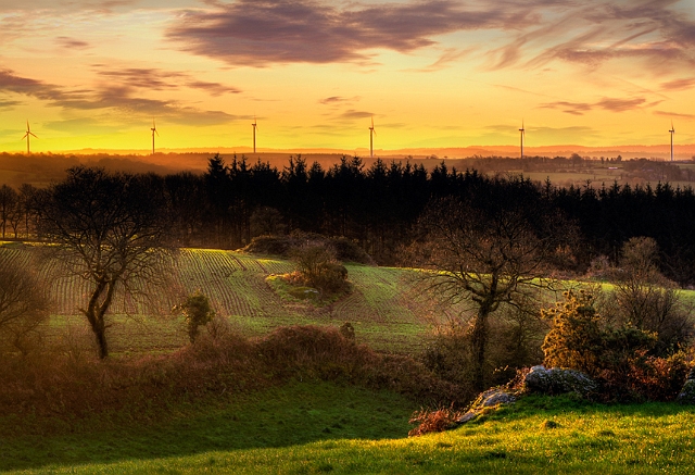 paysage 24_12_11n06.jpg